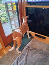 Stella - Photo 3