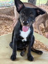 Jolene - Photo 2