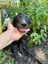 Jolene - Photo 3