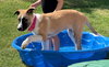 Honey - Photo 3