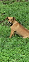 Connie - Photo 2