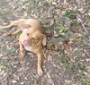 Connie - Photo 3