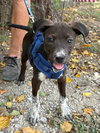Charlie - Photo 3