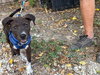 Charlie - Photo 1
