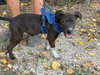 Charlie - Photo 4