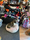 Hannah - Photo 3