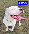 Elmer