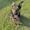 Roxy