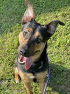 Roxy