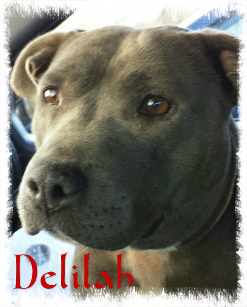 Delilah