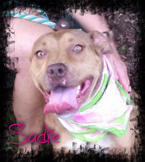 Sadie