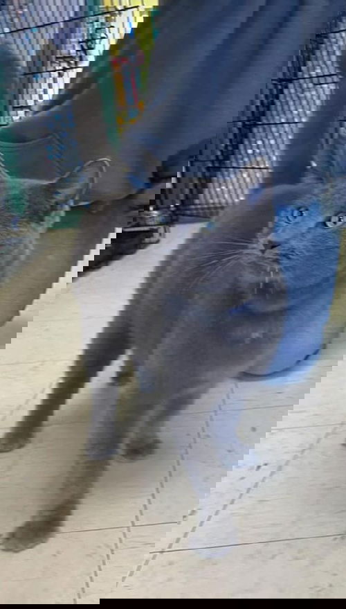 Ethan