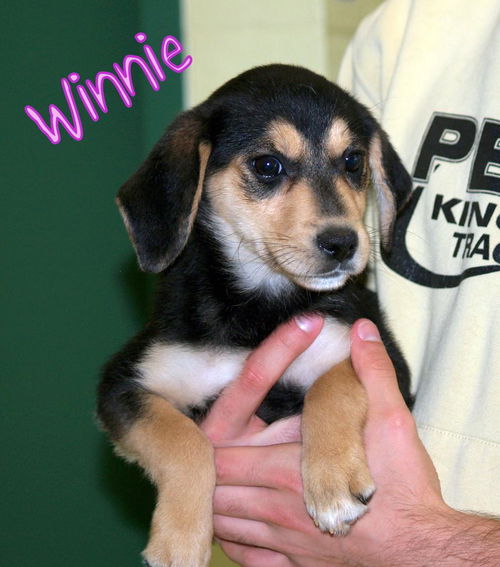 Winnie