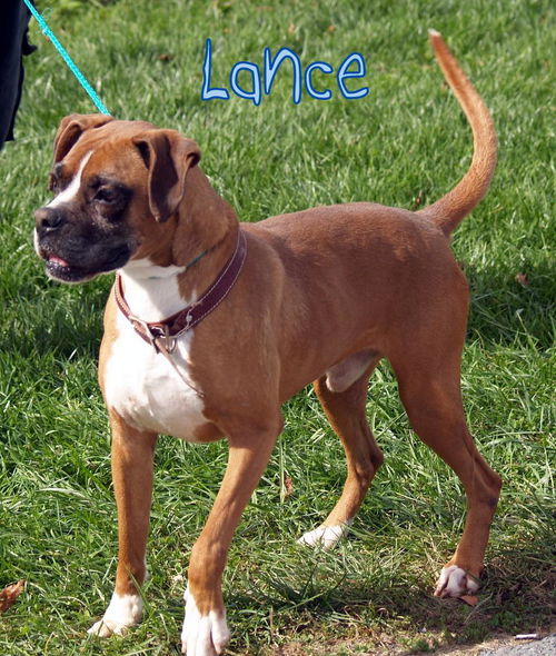 Lance