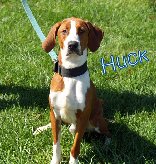Huck