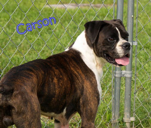 Carson