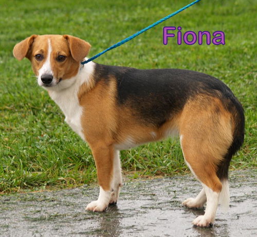 Fiona