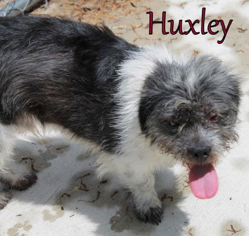 Huxley