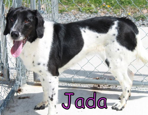 Jada