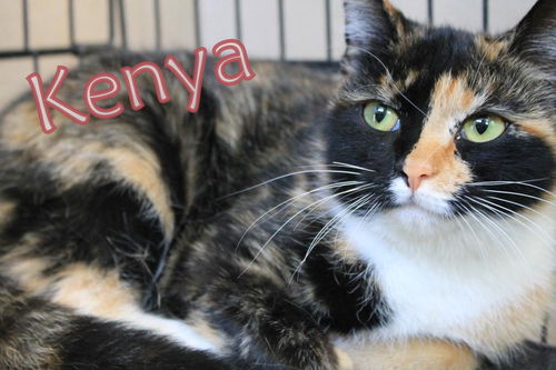 Kenya
