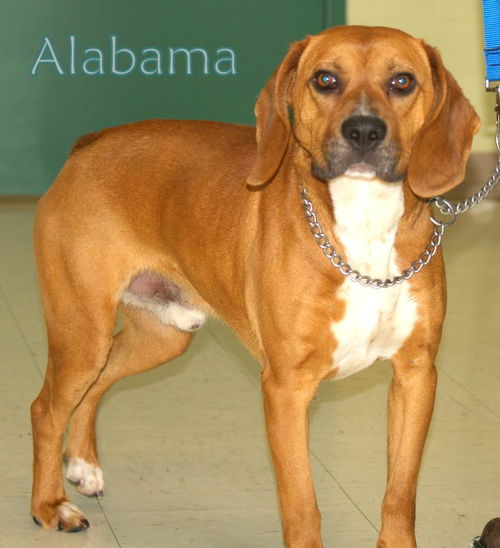 Alabama