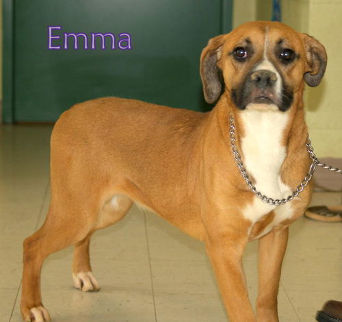 Emma