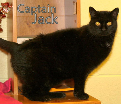 Captain Jack