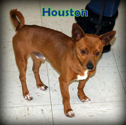 Houston