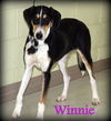 Winnie
