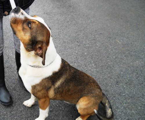 Rocco