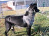 Kargo
