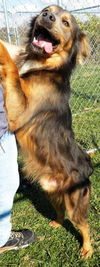 Huggy Bear