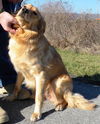 Sadie