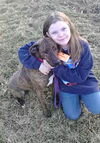 Tansy