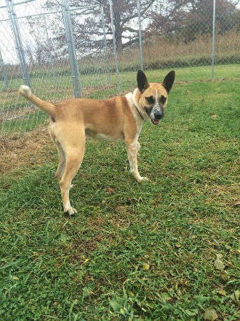 Jake