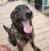 Bear - Photo 6