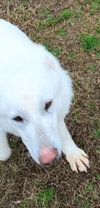 Junior - Photo 5