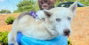 "Lonnie" - Photo 7