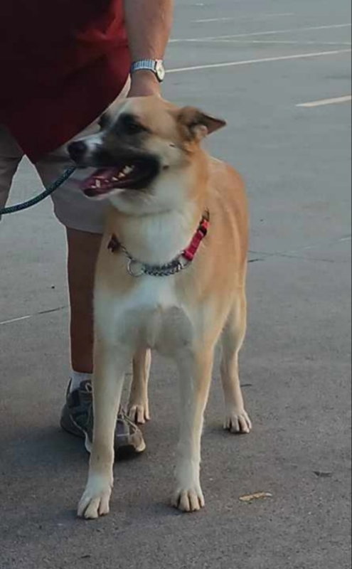 Photo of Bella