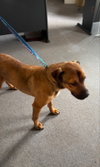 Barry - Photo 5