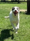 Sally Ann - Photo 9