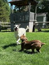 Sally Ann - Photo 10