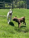Sally Ann - Photo 11