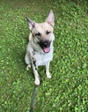 Tillie - Photo 5