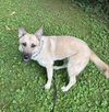 Tillie - Photo 6