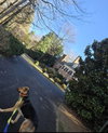 Carlton - Photo 10