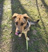 Carlton - Photo 11