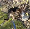 Carlton - Photo 12