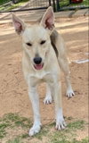 Lulu - Photo 13