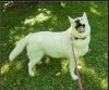 Peggy - Photo 1